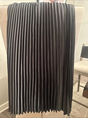 Black Pinch Pleat Skirt